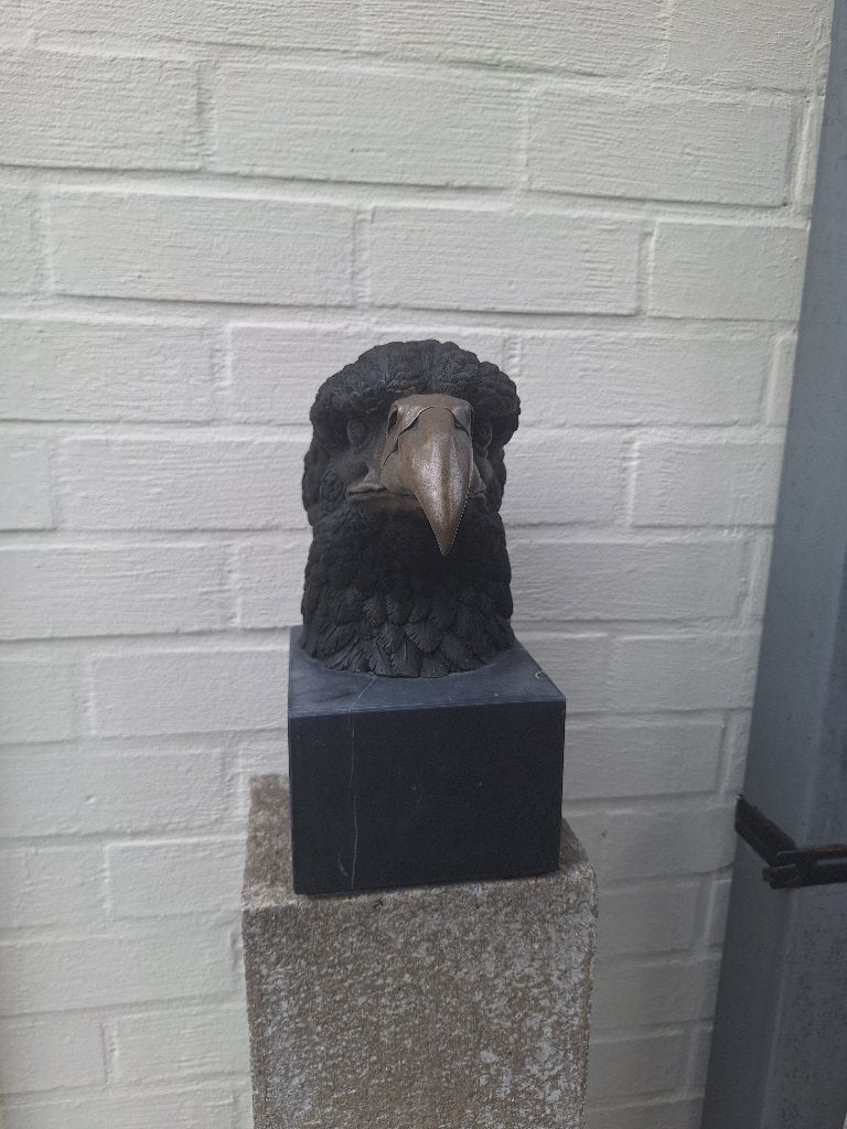 Bronzen  hoofd van adelaar, Antiek en Kunst, Antiek | Brons en Koper, Brons, Ophalen