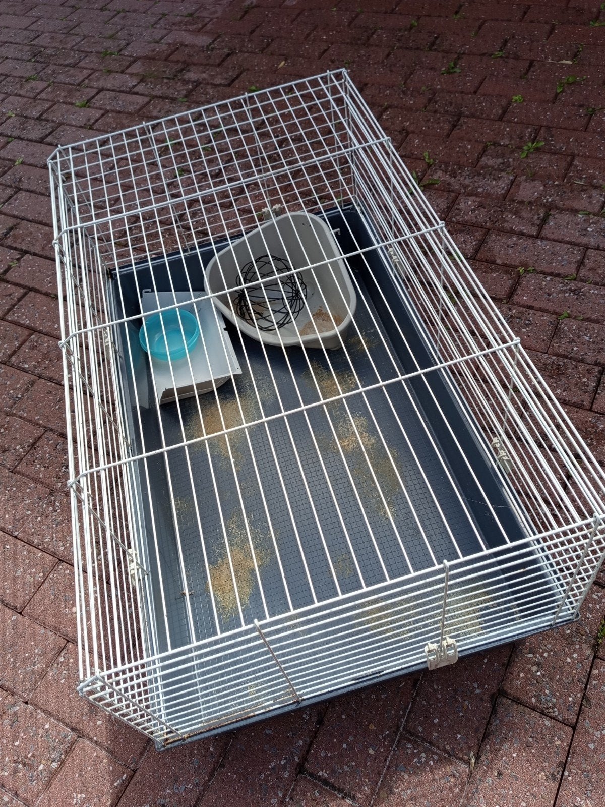 Cage pour lapin, Enlèvement, Cage, Lapin