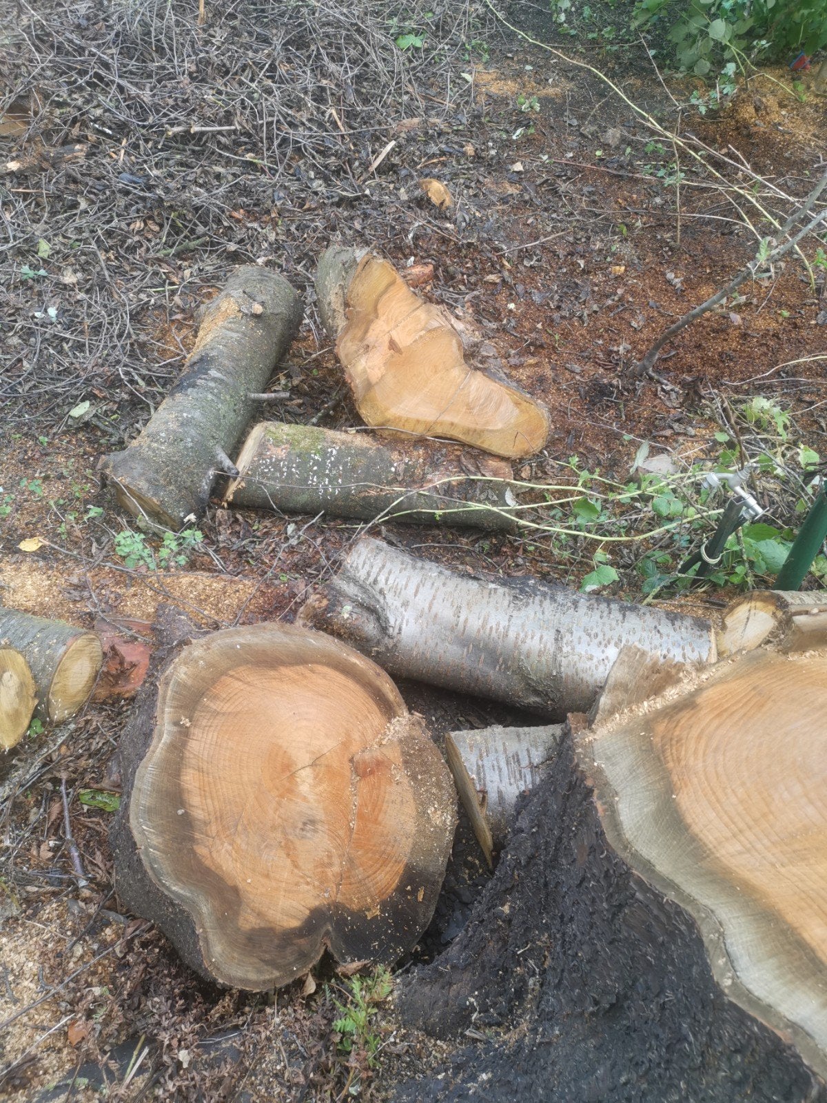 bois a donner, 6 m³ of meer, Ophalen, Overige houtsoorten, Blokken