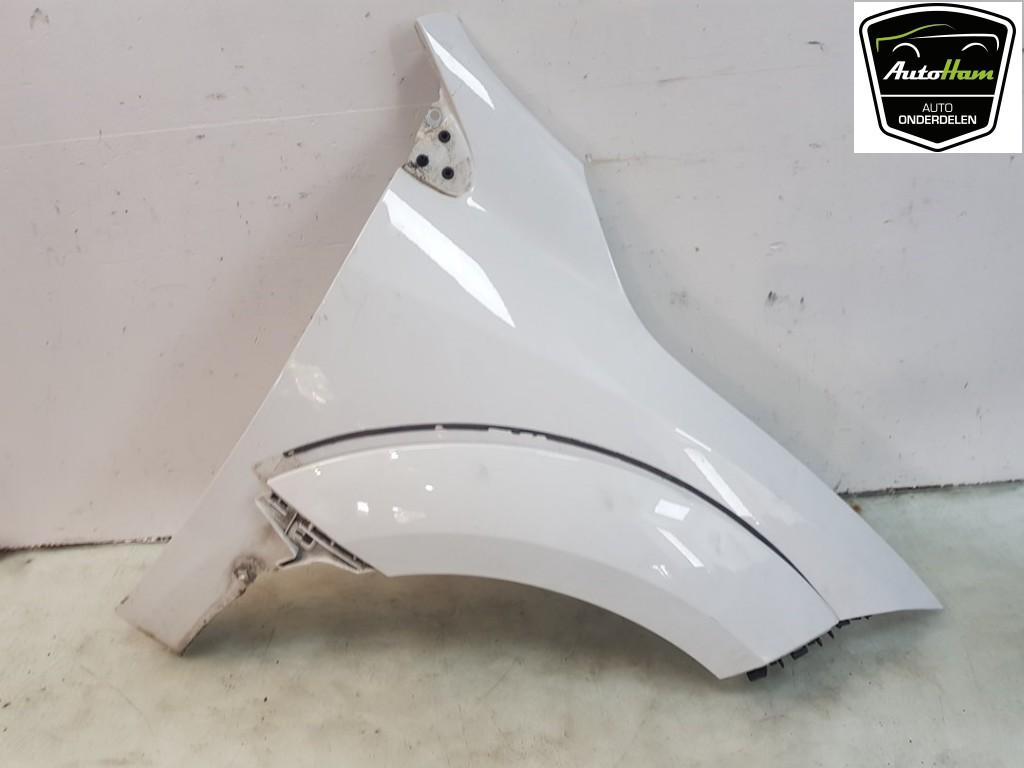 SPATBORD RECHTS VOOR Renault Megane III Coupe (DZ), Auto-onderdelen, Dhr. J. Ham, Gebruikt, Renault, Administratie@autoham.nl