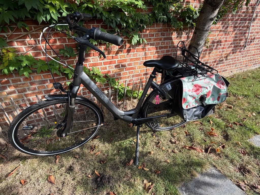 Damesfiets Gazelle, Ophalen, Gebruikt, Versnellingen, Schijfrem