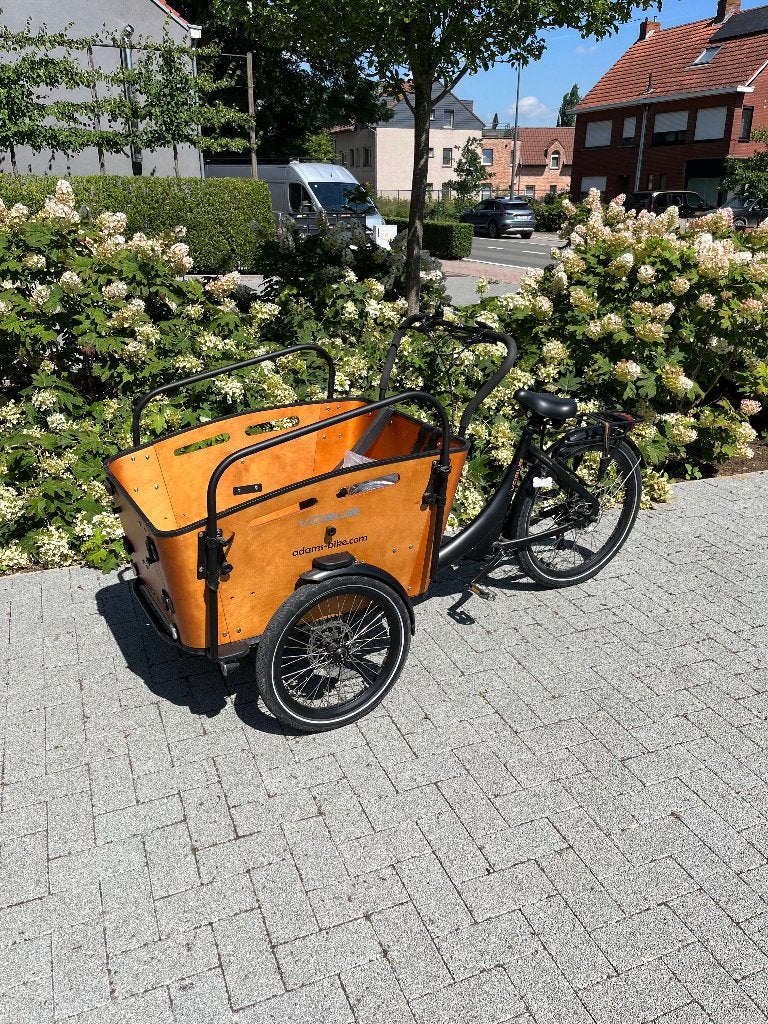 Bakfiets, Fietsen en Brommers, Fietsen | Bakfietsen, Ophalen, 3 kinderen, Elektrisch, Zo goed als nieuw
