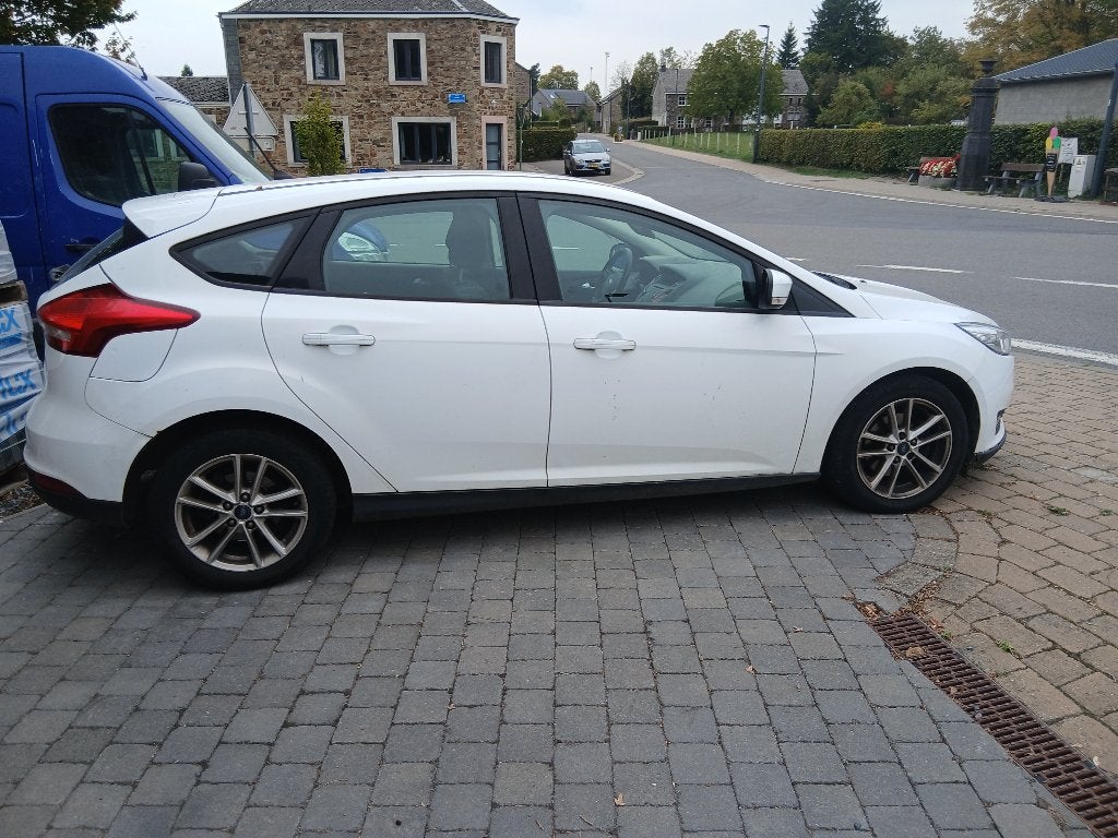 Ford focus, Auto's, Dealer onderhouden, Stof, Zwart, Wit