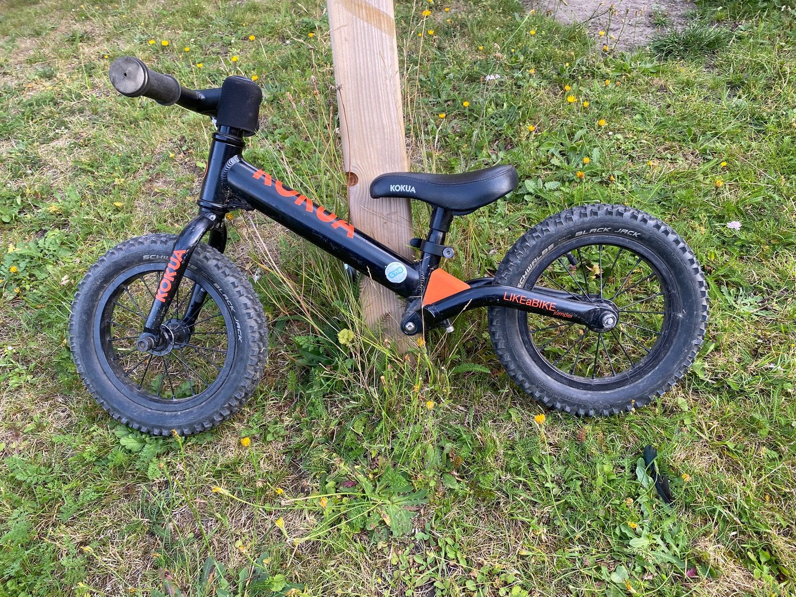 Draisienne Kokua, Vélos & Vélomoteurs, Enlèvement, Comme neuf