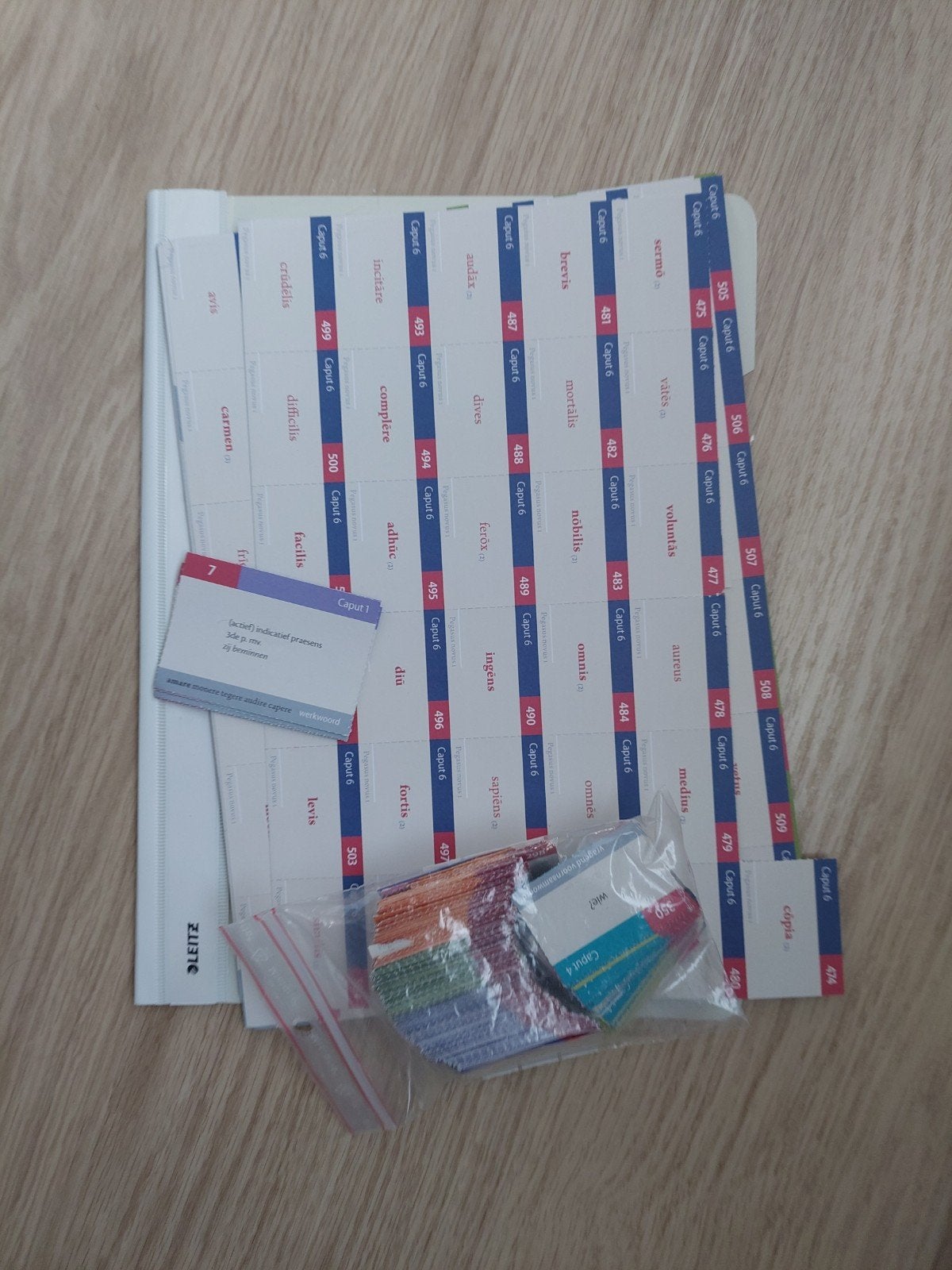 woordkaarten Latijn., Divers, Fournitures scolaires, Enlèvement ou Envoi