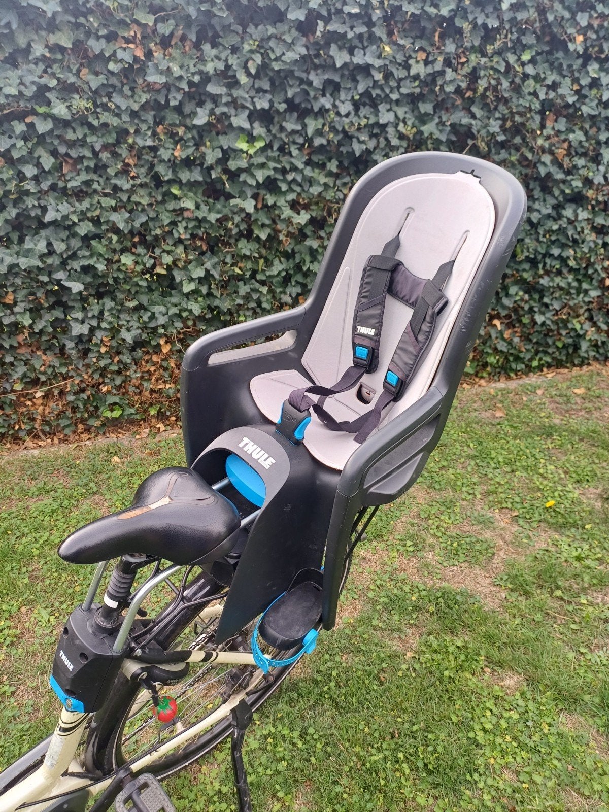thule ride along, Ophalen, Achterzitje, Thule, Gebruikt