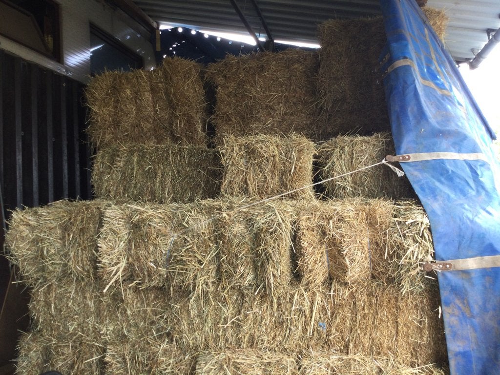 Hooi kleine botten 2 de snede + grote botten, Zakelijke goederen, Ophalen