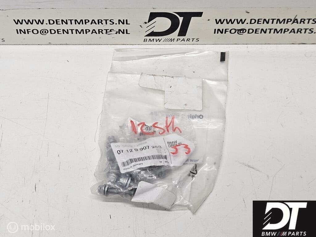 12x bout carterpan M6X25 BMW S63 BMW 07129907263 07129909551, Auto-onderdelen, Gebruikt, Ophalen of Verzenden
