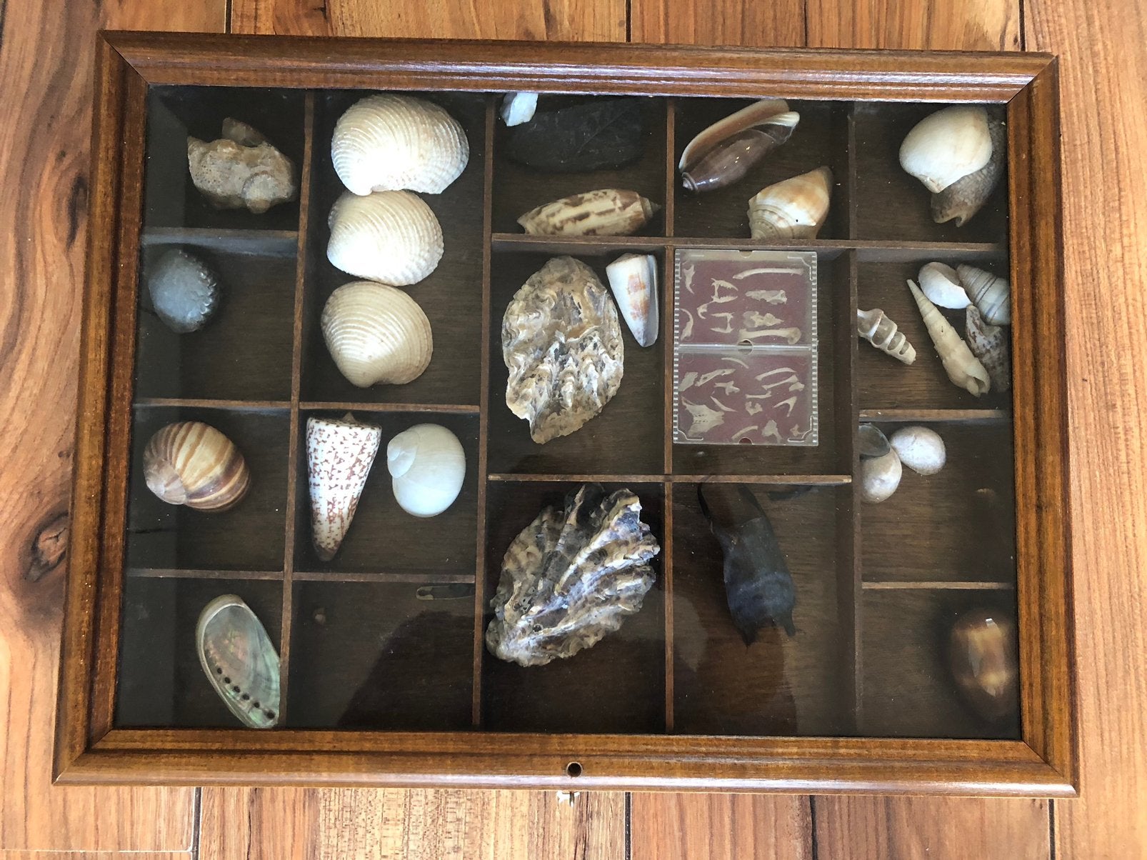 Armoire de collection avec navires authentiques, Enlèvement