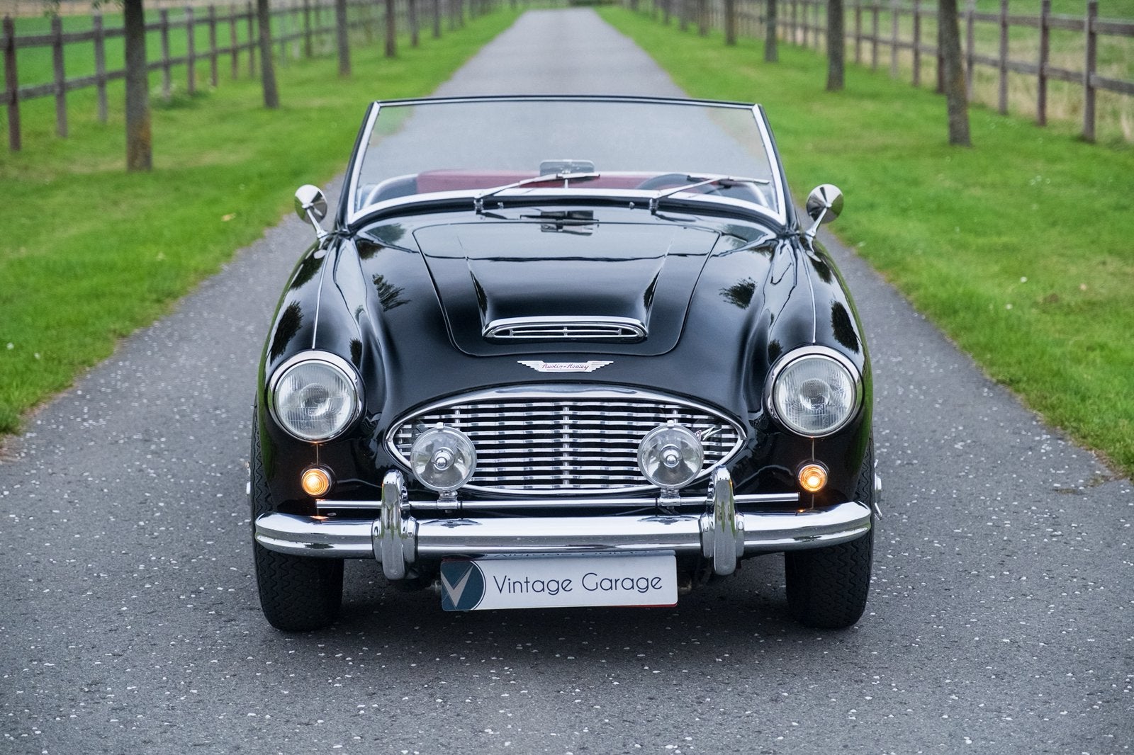 Austin Healey 3000 - 1960, Autos, Cuir, Achat, Beige, Entreprise