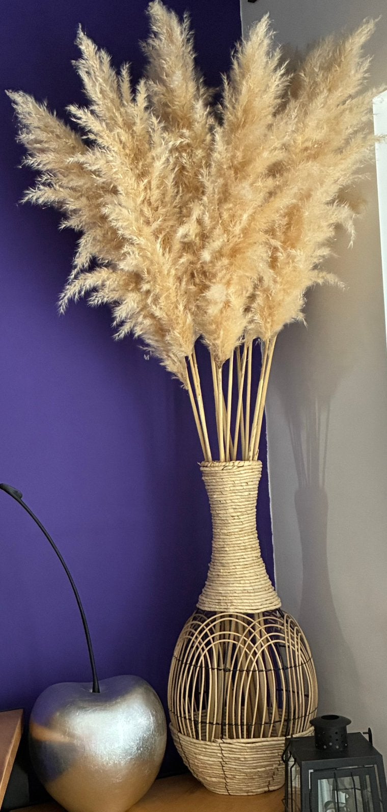 10 Magnifiques grandes Plumes de Pampa naturelles, Ophalen, Nieuw