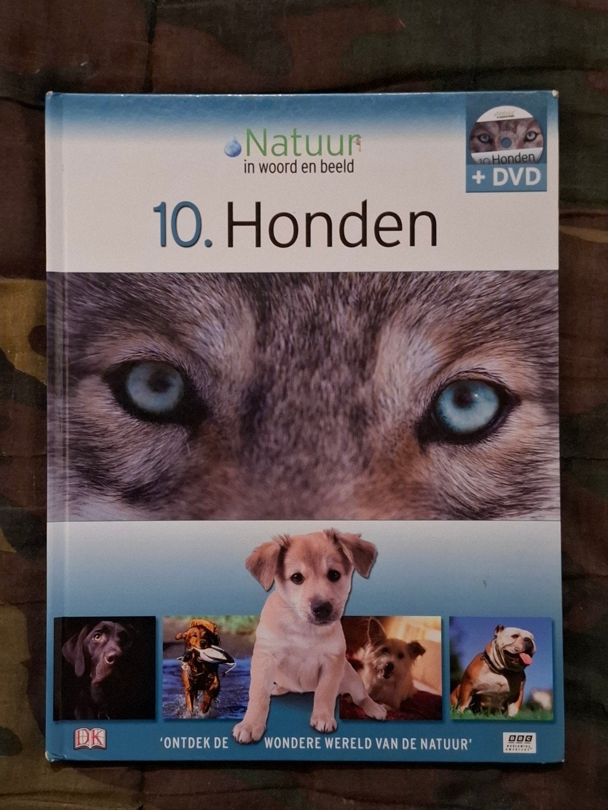 Honden Boek + DVD, Livres, Animaux & Animaux domestiques, Enlèvement ou Envoi, Comme neuf, Chiens
