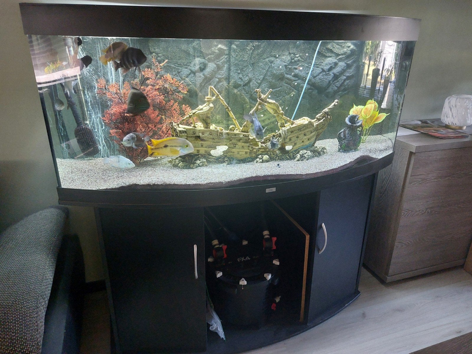 gebogen aquarium, Dieren en Toebehoren, Ophalen, Pomp, Fluval