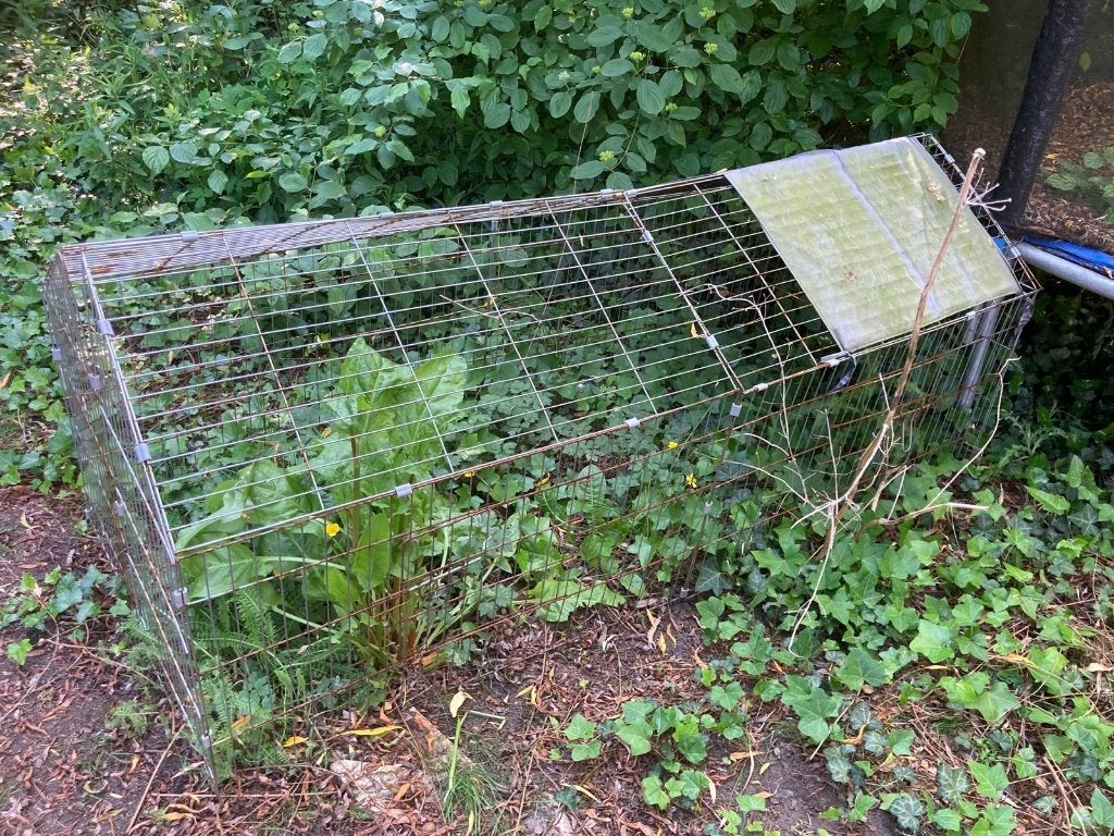 Kooi voor buiten bv konijnen, cavia's of... gratis, Kooi, Fret, Ophalen, Minder dan 60 cm