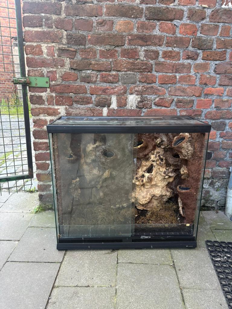 Terrarium avec deco dedans, Enlèvement, Comme neuf