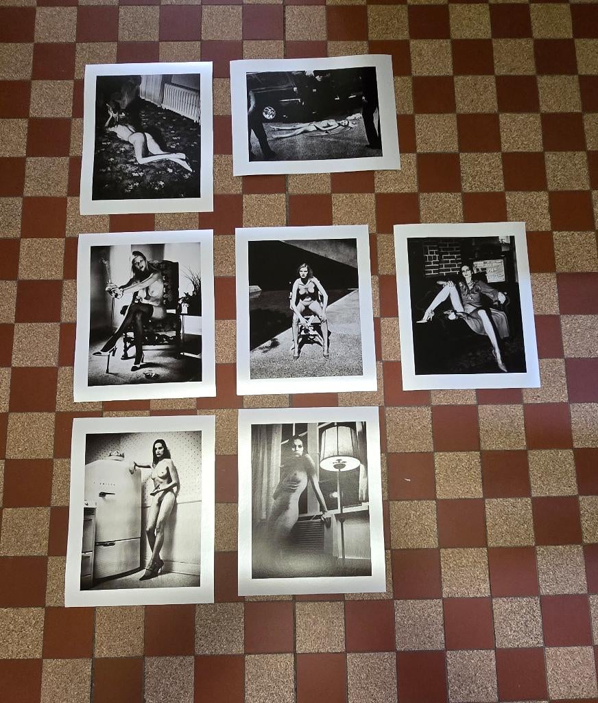Helmut Newton Cyberwomen, Enlèvement ou Envoi