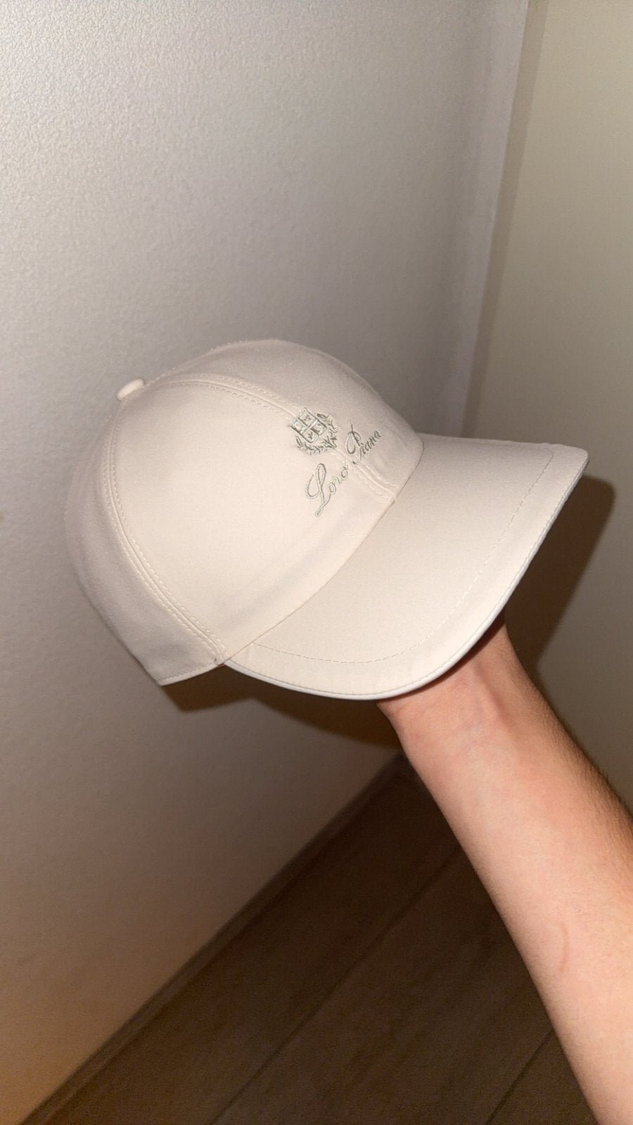 Loro Piana Storm System Cap, Ophalen of Verzenden, Nieuw, One size fits all, Pet