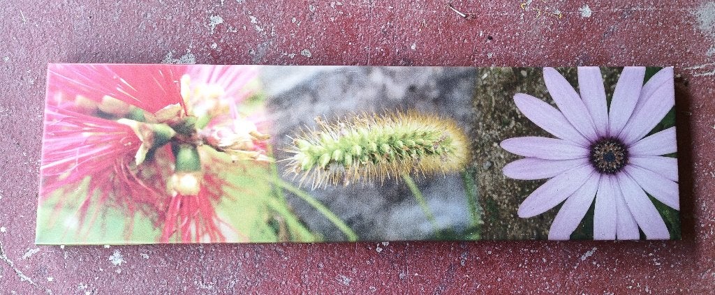 Photographie unique imprimé sur bâche et tendue sur bois, Enlèvement, Photo, Photographie, Original