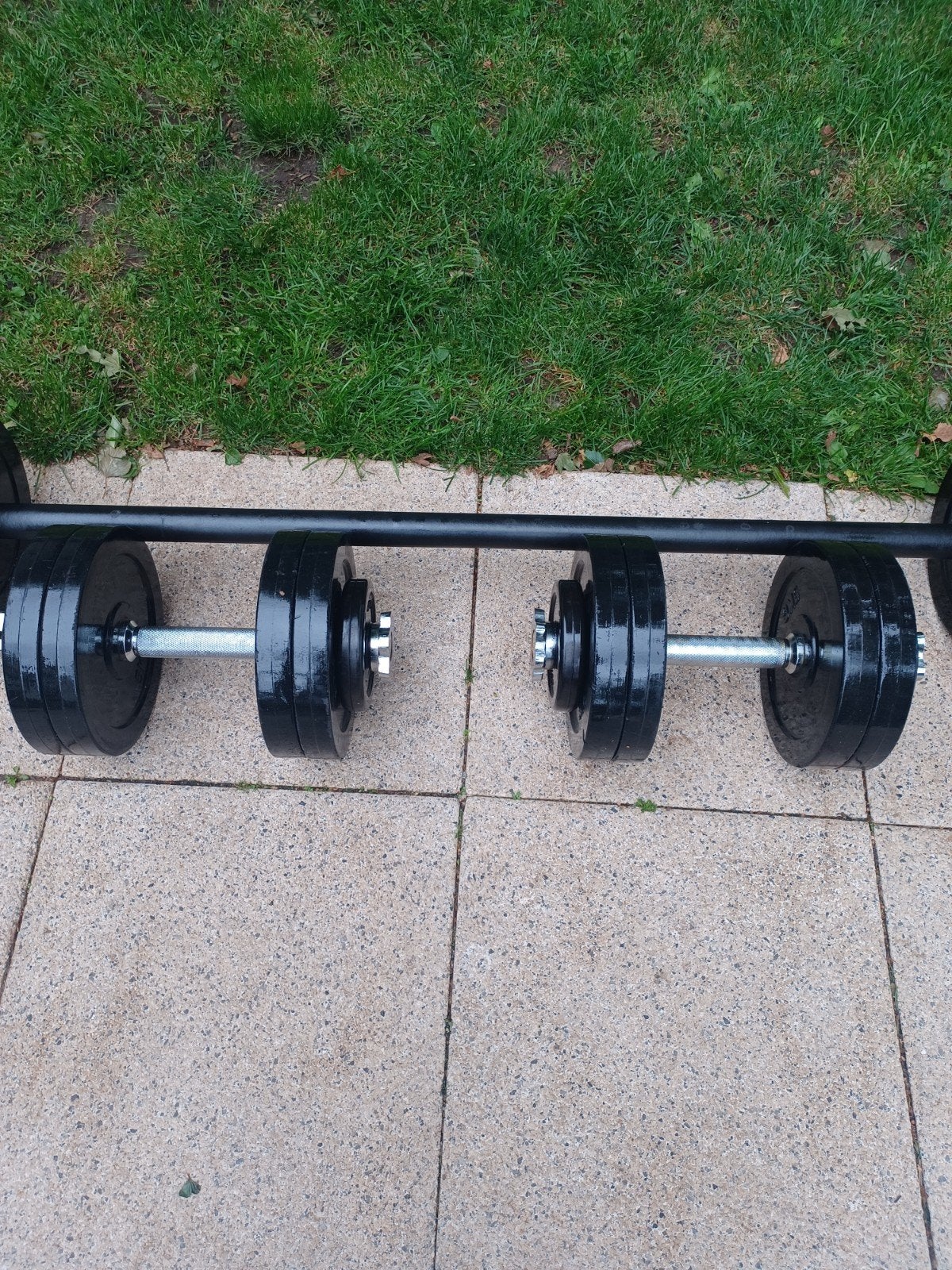 Professionele halters en halterschijven van gietijzer, Ophalen, Gebruikt, Benen, Dumbbell