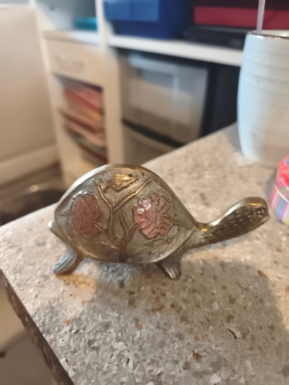 Tortue vintage, Enlèvement