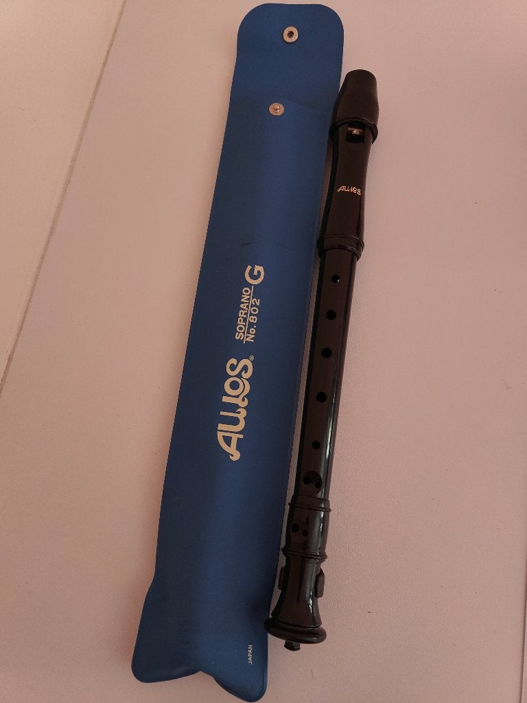 Blokfluit Aulos met etui, Muziek en Instrumenten, Blaasinstrumenten | Blokfluiten, Ophalen, Zo goed als nieuw