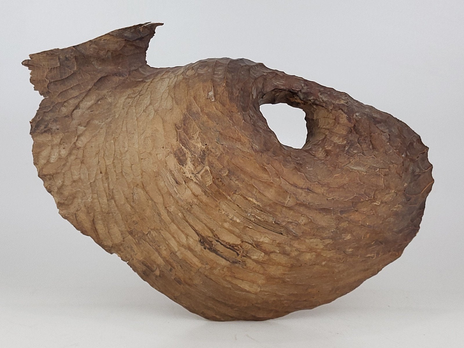 Houten sculptuur "Nido" – Miek Van Orshoven  + Certificaat, Antiek en Kunst, Ophalen of Verzenden, Handgemaakt, Beeld, Hout