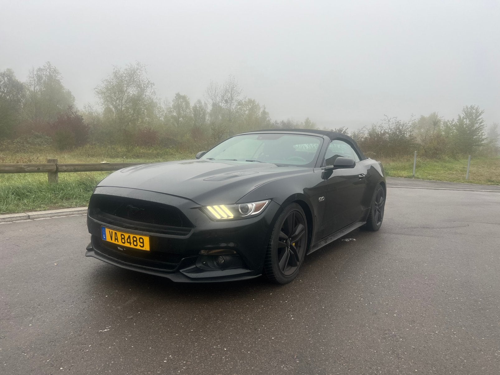 Ford Mustang GT 50 jaar editie, Auto's, Automaat, 324 kW, Cabriolet, Zwart