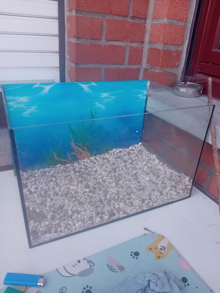 Aquarium, Enlèvement