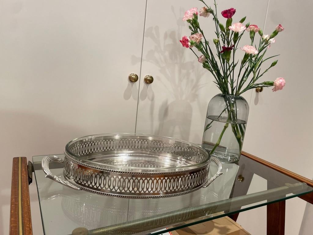 Plantaardige serveerschaal — staal, glas, Huis en Inrichting, Keuken | Servies, Ophalen of Verzenden, Bord(en), Overige stijlen