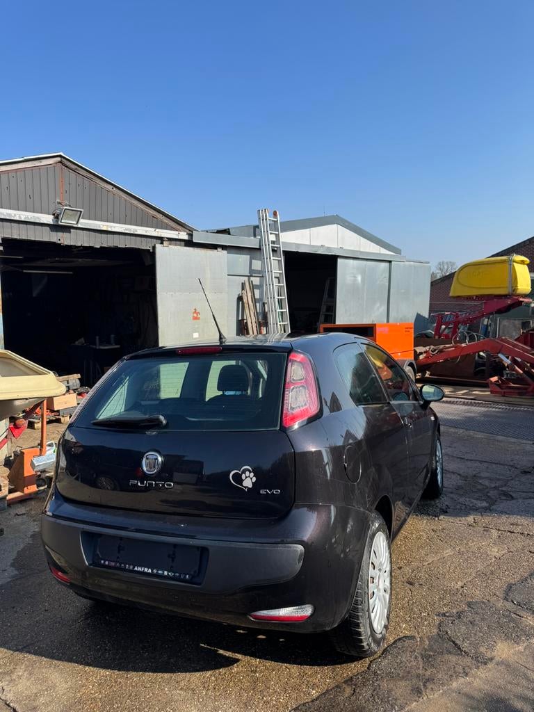 Fiat punto Evo te koop, Autos, Achat, Boîte manuelle, Autres couleurs, Diesel