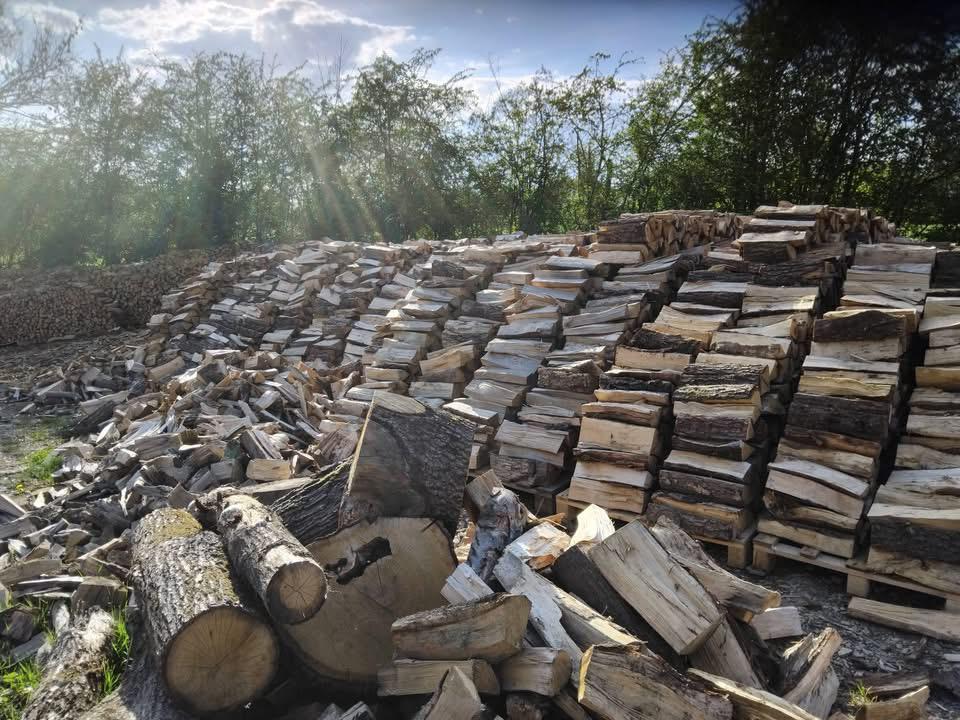 Bois  de chauffage  de père & fils & petit fils situé 4845, Enlèvement, Hêtre, Bûches
