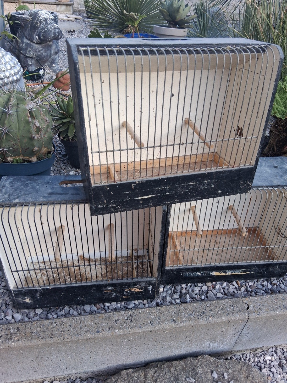 Vogelkooi, Ophalen, Vogelkooi
