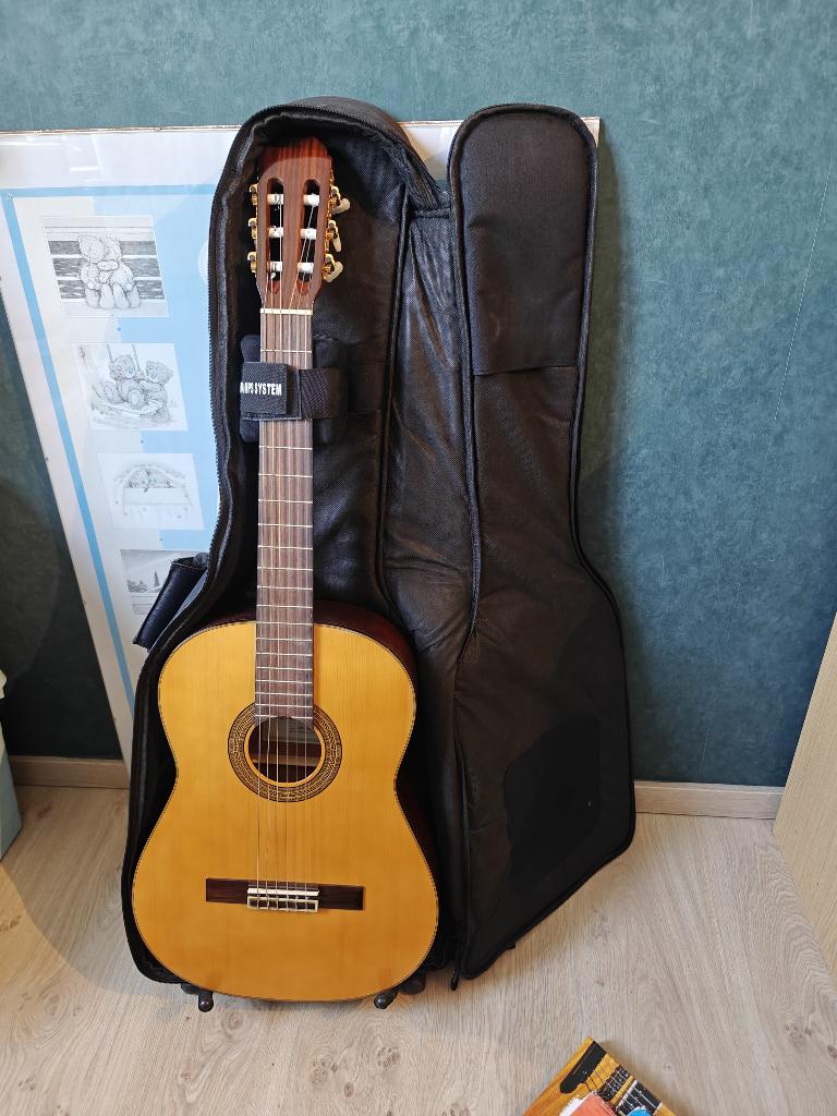 gitaar, Ophalen, Gebruikt, Overige typen