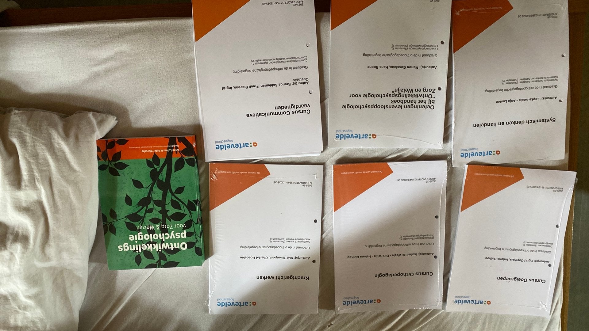 Diplôme d'études supérieures en conseil orthopédagogique, Enlèvement, Comme neuf
