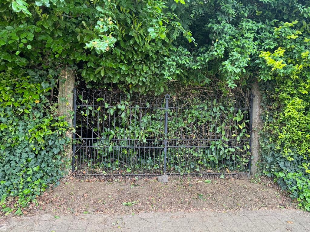 Smeedijzeren poort, Enlèvement, Comme neuf, Fer, Clôture ornementale