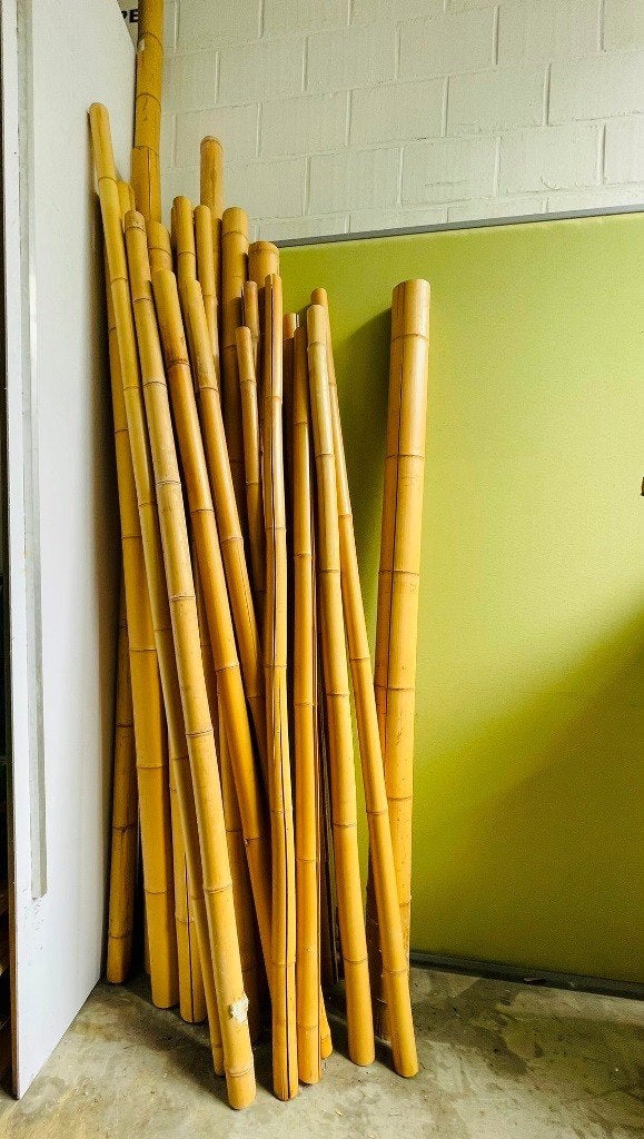 Lot van +/- 20 grote bamboe stokken, Ophalen, Gebruikt, 180 tot 250 cm