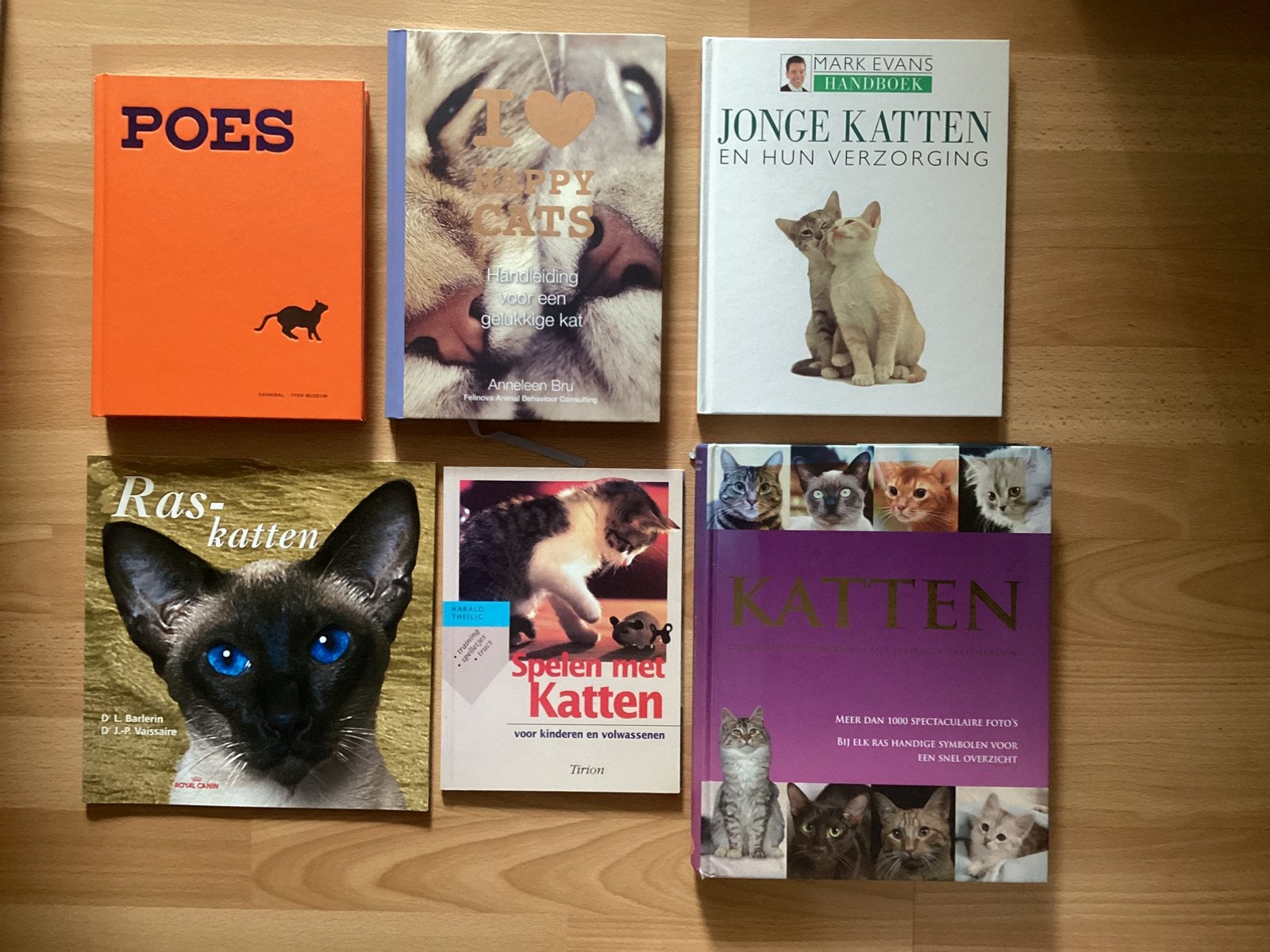 Boeken Katten, Enlèvement ou Envoi, Chats