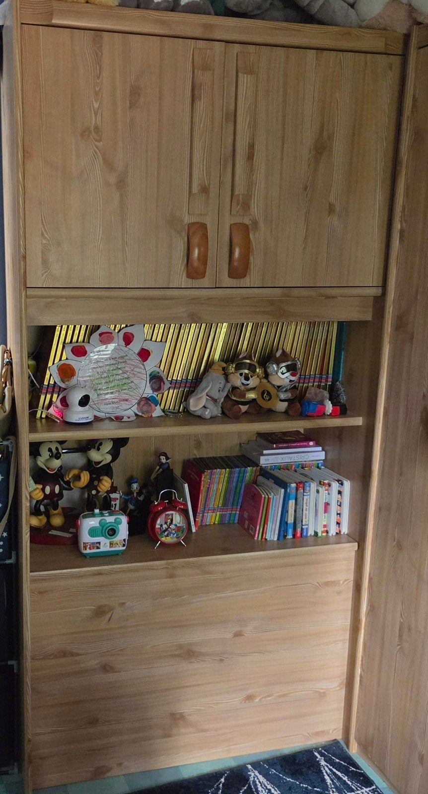 bibliotheek, Ophalen, Zo goed als nieuw, Grenenhout, Met deur(en)