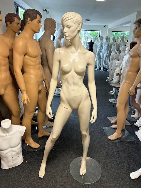 etalagepop paspop etalagefiguur mannequin gestileerd haar, Kleding | Dames, Ophalen of Verzenden