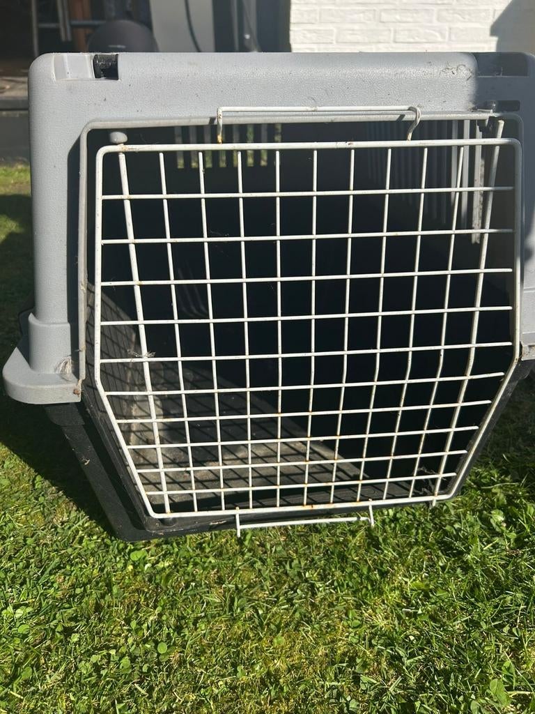 Petite Cage pour Chien, Enlèvement