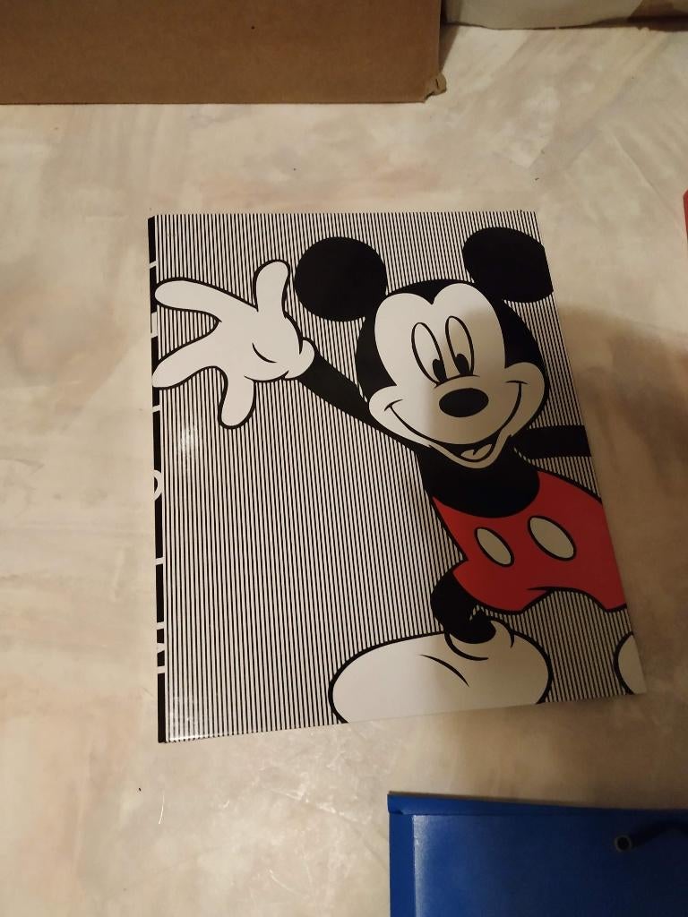 mickey map nieuw a4 formaat, Diversen, Schoolbenodigdheden, Ophalen of Verzenden, Nieuw