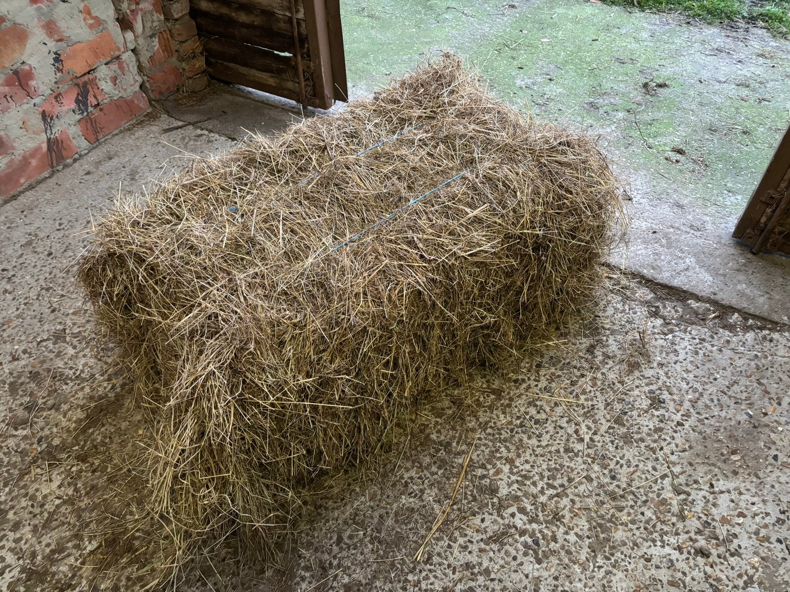 Hooi te koop, Enlèvement, Autres espèces
