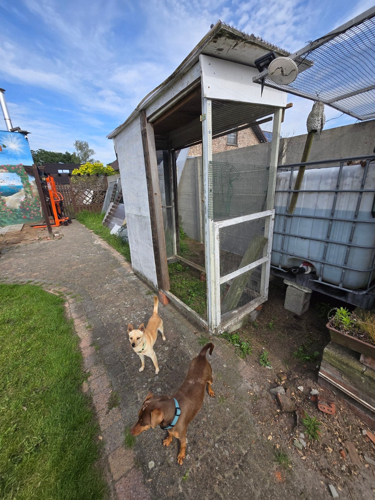 Volière  2 lang. hoog 215  breed  60, Dieren en Toebehoren, Ophalen of Verzenden, Volière