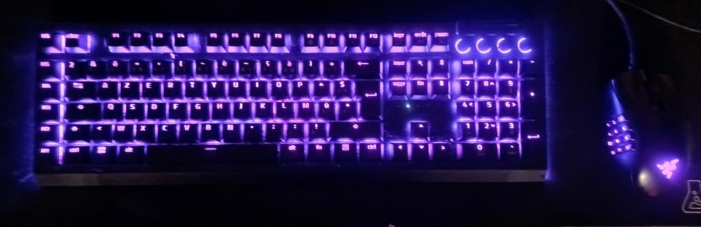 RAZER-BUNDLE: BlackWidow V4 Pro + Naga V2 Pro, Azerty, Gebruikt, Razer, Toetsenbord en muis-set
