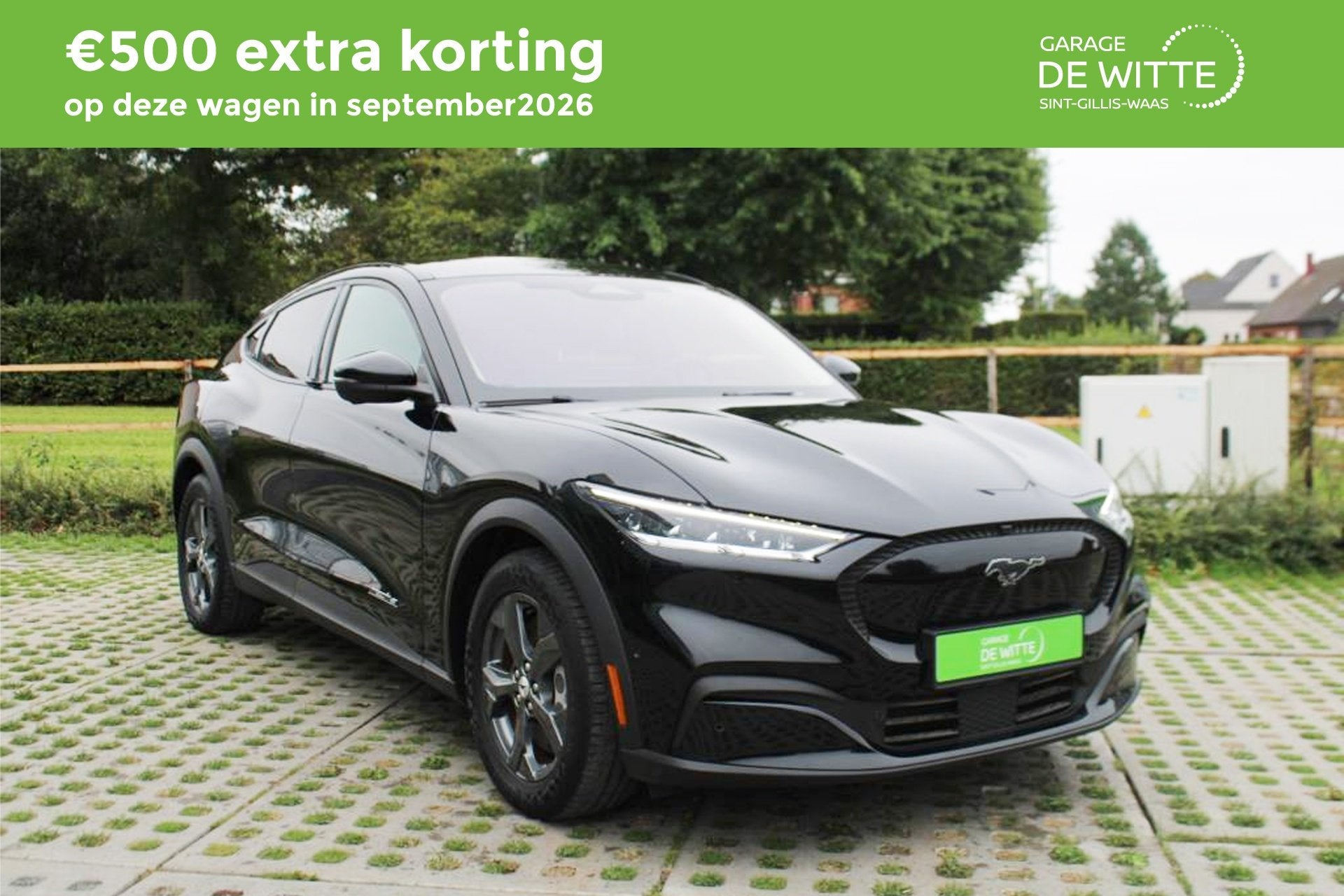 Ford Mustang Mach-E . (année de construction 2022), Autos, Cuir, Achat, Entreprise, https://public.car-pass.be/vhr/0f6ee5d5-7340-4225-afdc-4374b587d3b9