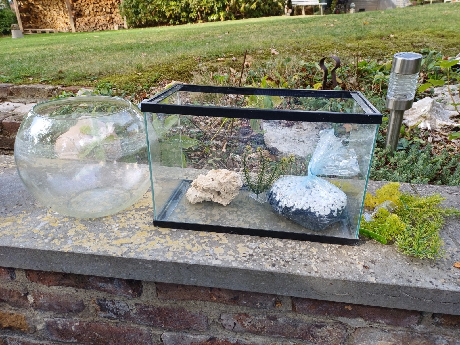 A donner reste aquarium rond + graviers et decos., Ophalen