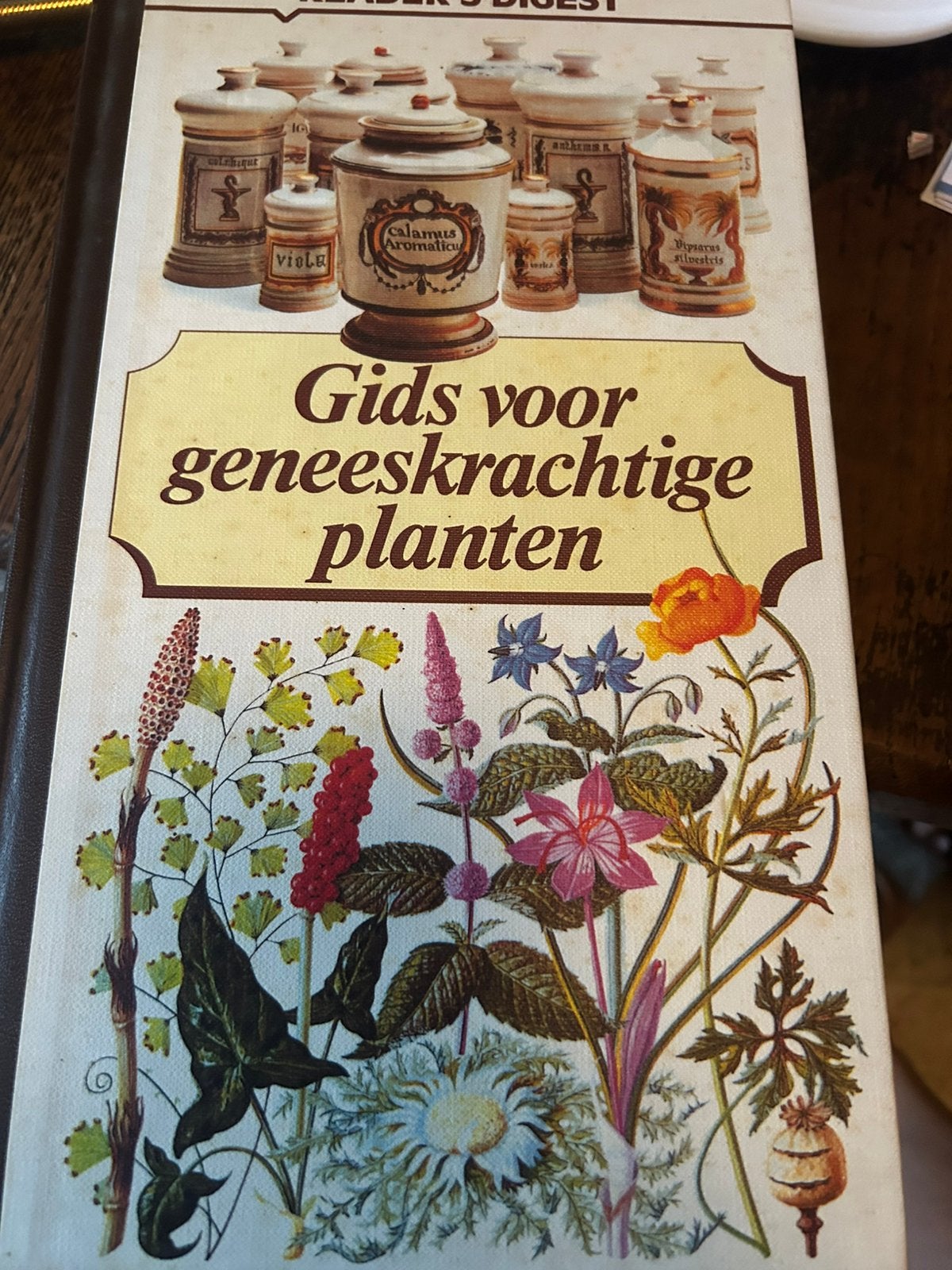 Boek "Gids voor geneeskrachtige planten", Boeken, Wonen en Tuinieren, Ophalen, Zo goed als nieuw