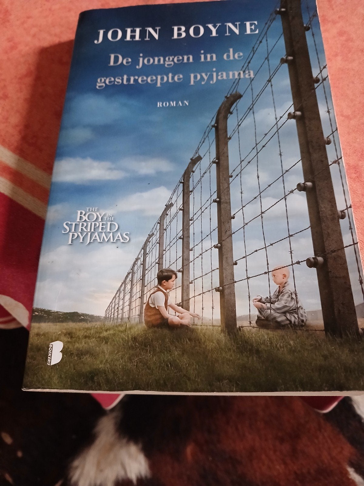 John Boyne - De jongen in de gestreepte pyjama, België, John Boyne, Ophalen, Gelezen