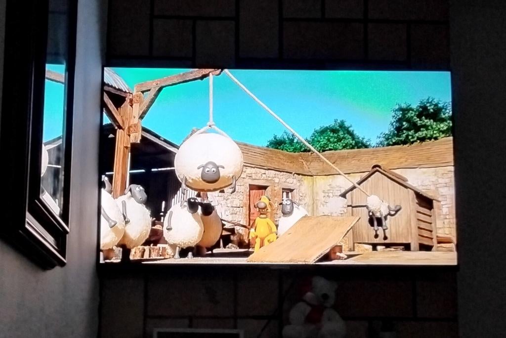 Edenwood smart tv 55 inch in goede staat
