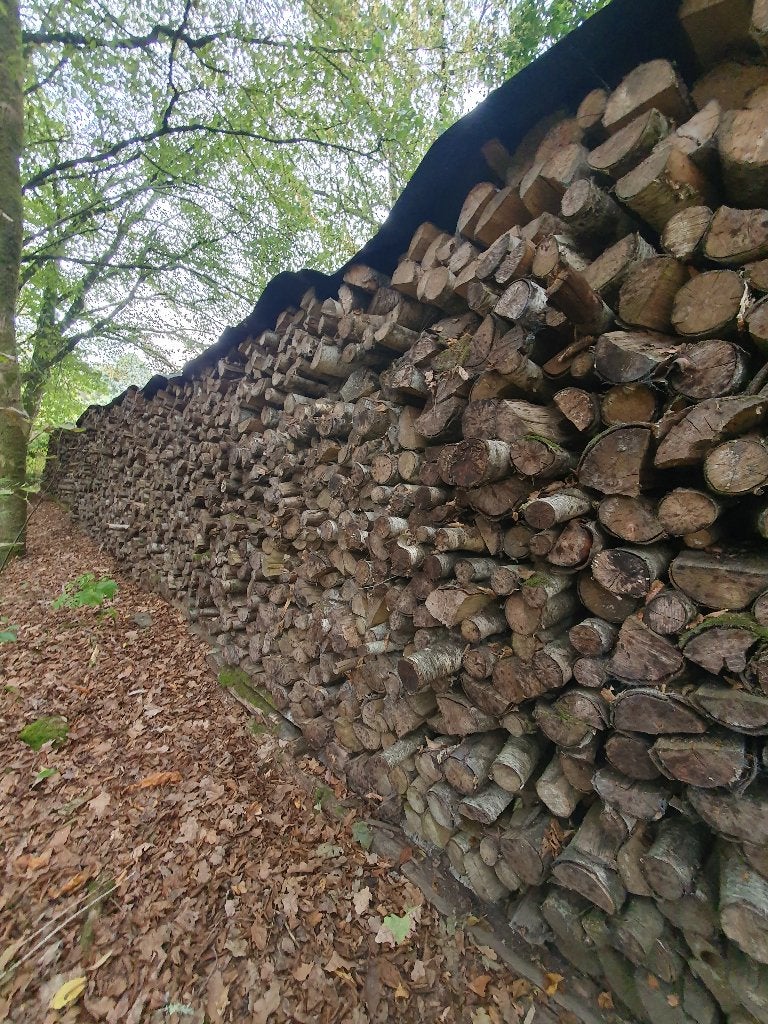 5 jaar oud droog berkenbrandhout, 6 m³ of meer, Ophalen, Berkenhout, Blokken